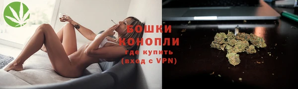 сатива Баксан