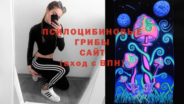 гидра Балахна