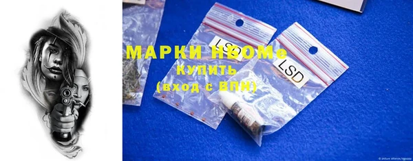 сатива Баксан