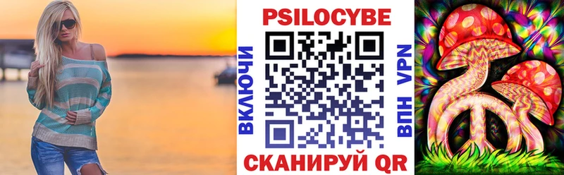 Галлюциногенные грибы Psilocybe  Черепаново 